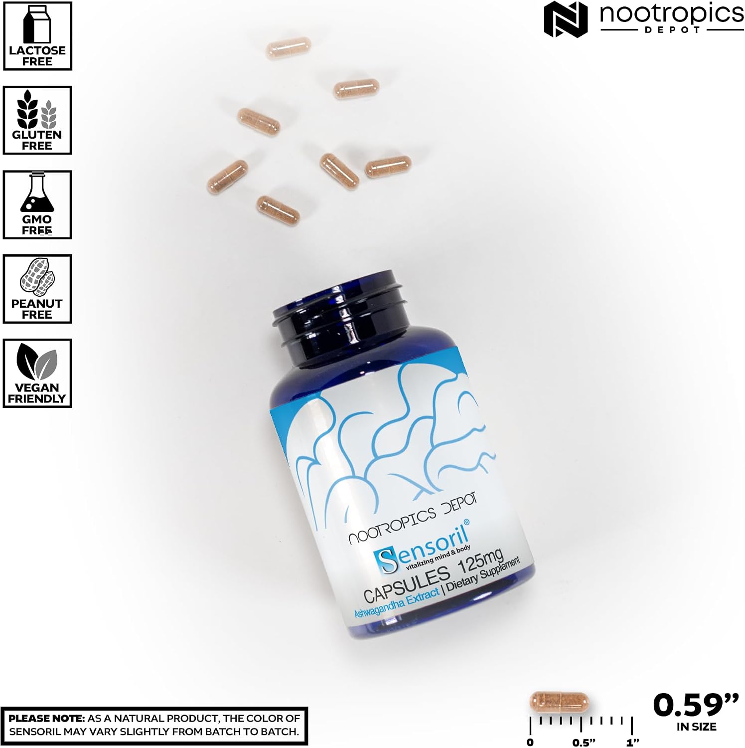 Nootropics Depot Sensoril Ashwagandha 125mg - 90 Cápsulas