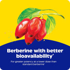 Enzymedica Berberine Phytosome - Suplemento de Berberina de Alta Absorción - 60 Cápsulas