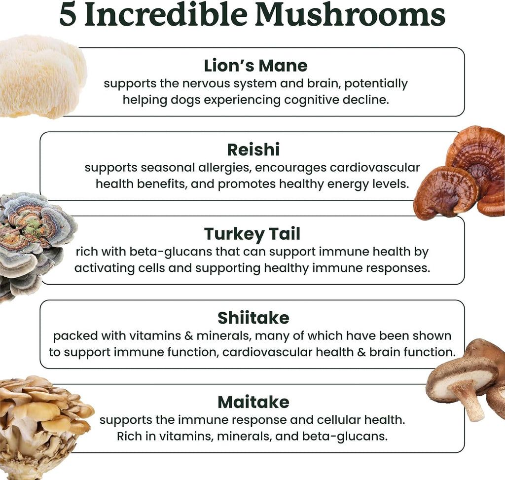 Suplemento de setas para perros - Masticables con setas orgánicas para inmunidad y cognición - Cola de pavo, Reishi, Shiitake, Maitake, Melena de león