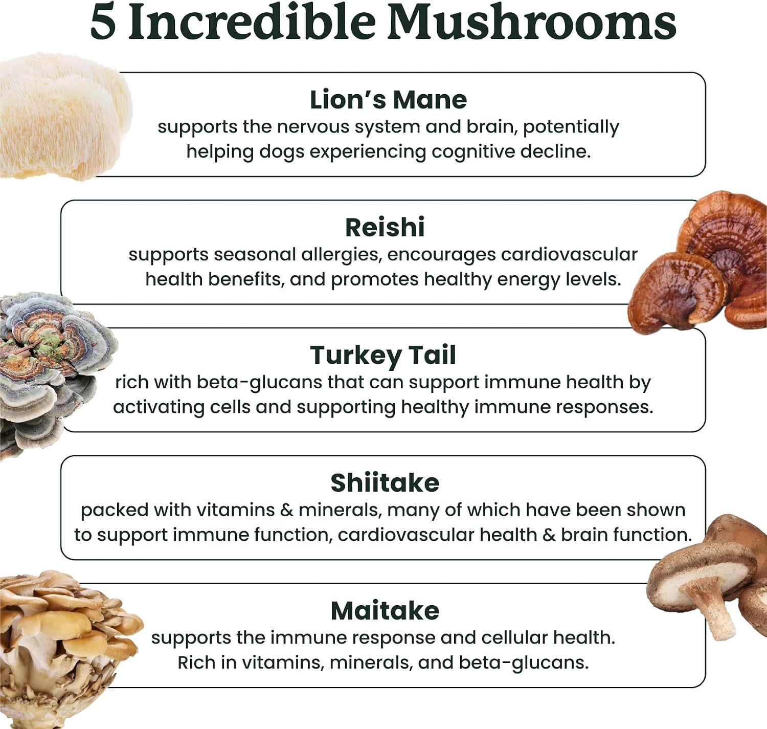 Suplemento de setas para perros - Masticables con setas orgánicas para inmunidad y cognición - Cola de pavo, Reishi, Shiitake, Maitake, Melena de león