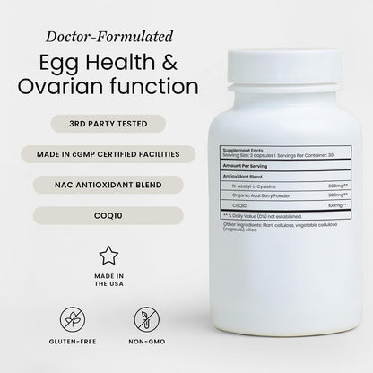 Perelel Fertility Support, Multivitamínico – N-acetil-L-cisteína (NAC): Un precursor del glutatión, uno de los – Image 2