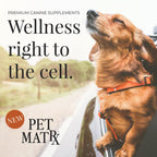 Pet MatRx Calm Spray para Perros - Suplemento para el Sistema Nervioso, Alivio de la Ansiedad, Entrenamiento de Comportamiento - Vitamina B1, NAC, GABA, Curcumina