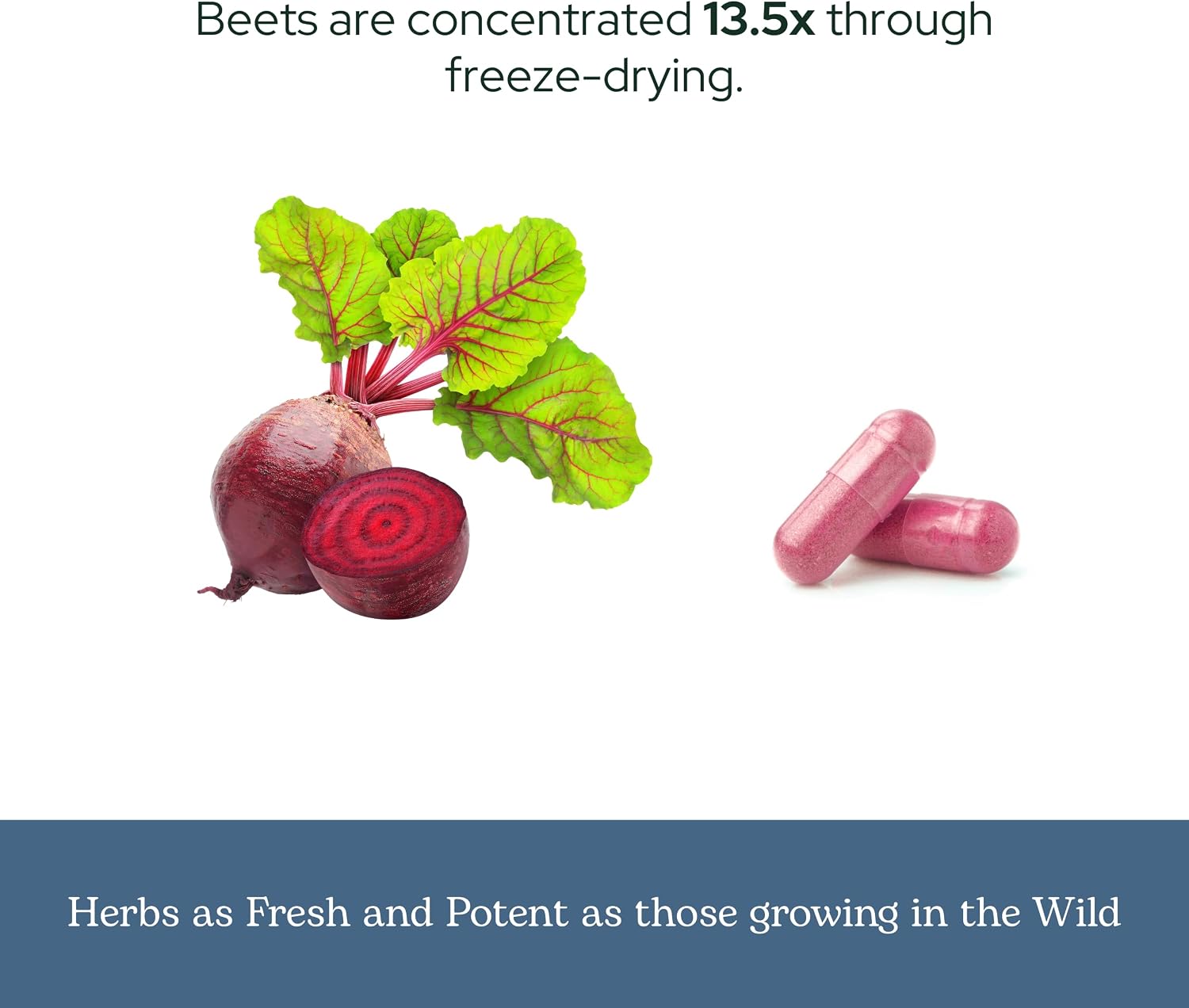 Eclectic Herb - Cápsulas de Jugo de Remolacha Orgánico | 440 mg, 50 Cápsulas | Suplemento Natural para Circulación