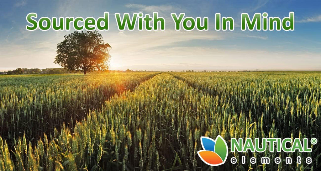 Polvo de Wheatgrass Orgánico Certificado USDA - Hierba de Trigo en Polvo - Vegano y Sin OGM