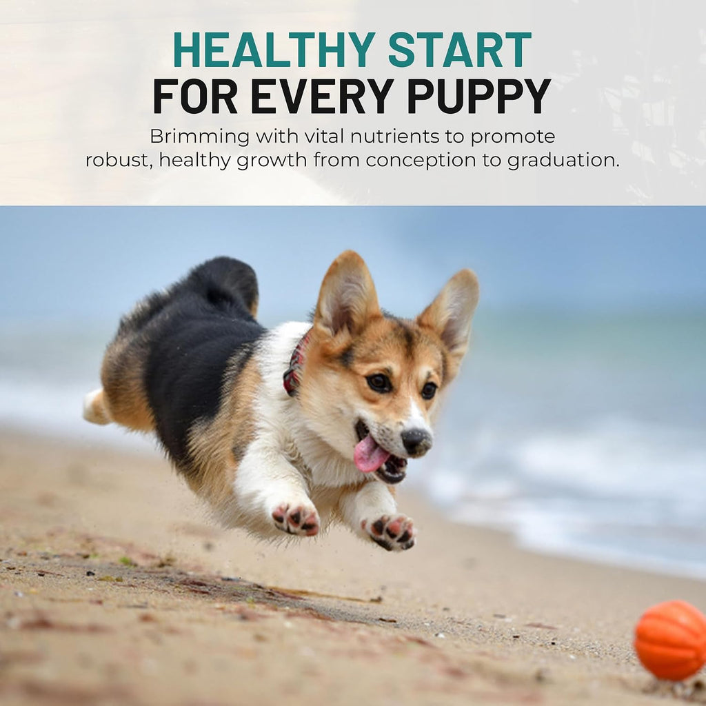 Mr Ros Multivitamínico prenatal masticable para perros - 120 comprimidos blandos