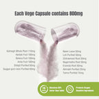 Herbsforever Arogya Vardhini Cápsulas - 90 Cápsulas Vegetales de 800 mg