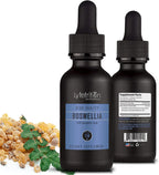 Lyfetrition Boswellia 455 mg - Extracto Líquido 118 ml - 220 Porciones - Alta Absorción - No Modificado Genéticamente - Certificado GMP - Sin Crueldad