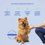 Cranberry Liquid for Dogs - Suplemento Líquido de Arándano Rojo para la Salud Urinaria