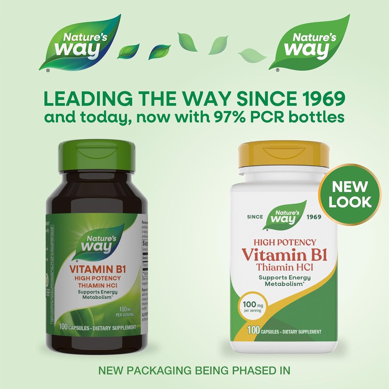 Nature's Way Vitamin B1, High Potency, 100 mg Thiamine (Thiamine HCl), 100 Capsules