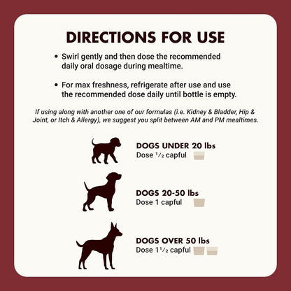 Apoyo Inmunológico para Perros – Protección – Ingredientes de calidad: Opta por fórmulas con ingredientes – Image 6