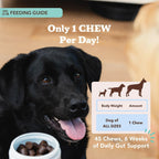 Natural Dog Company Probióticos para Perros – Masticables con 1B UFC, Cepas Microencapsuladas, Prebióticos y Enzimas para la Salud Digestiva, 45 unidades