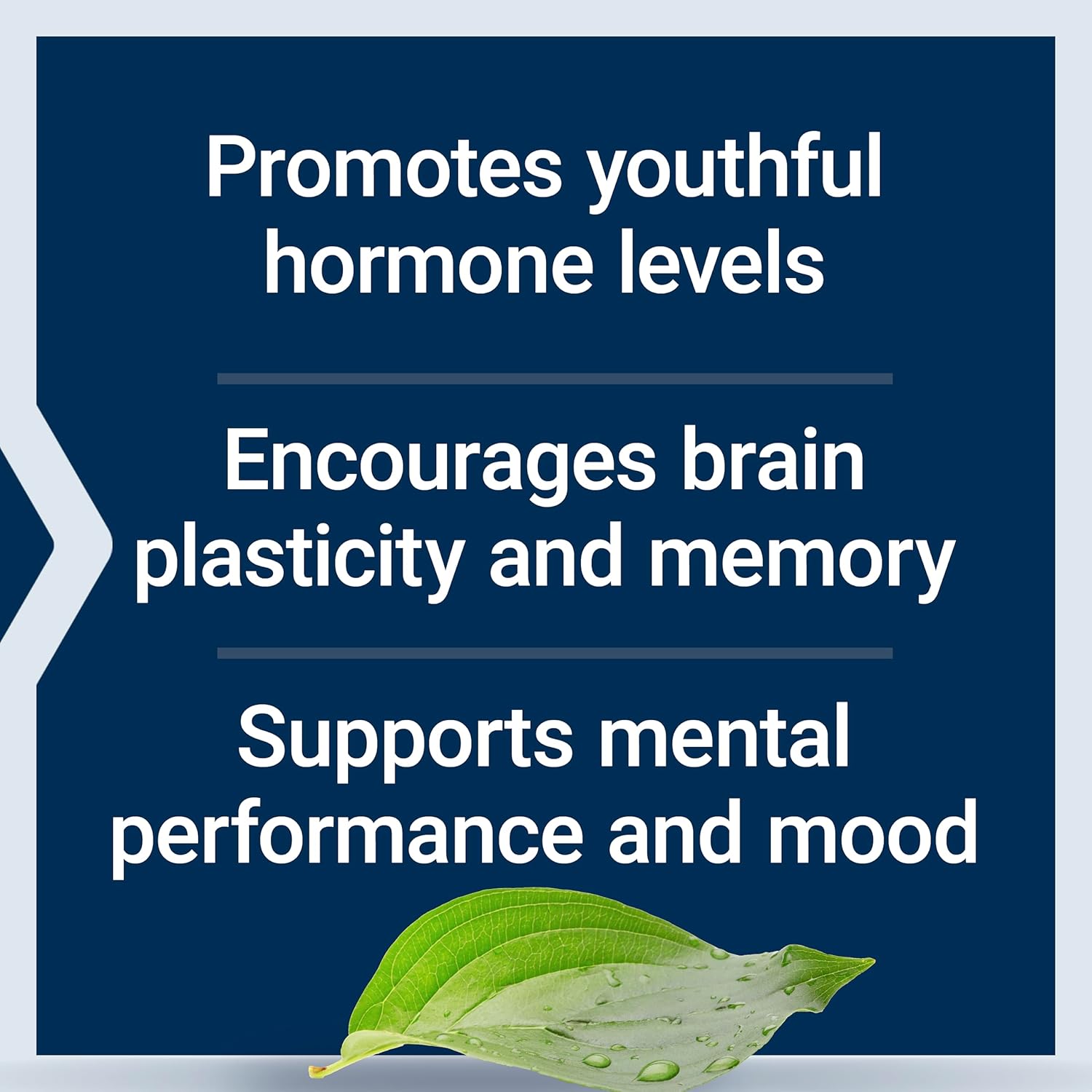Life Extension Pregnenolone 100 mg - 100 Capsules