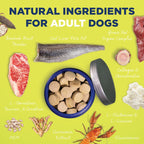 Vetericyn All-in 1 Suplemento Multifuncional para Perros | Enzimas Digestivas + Glucosamina y Condroitina para Huesos y Articulaciones + Vitaminas, Antioxidantes, Prebióticos, Probióticos y Omega. 90 Comprimidos