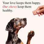 Petroyale Masticables de Arándano para Perros – Apoyo Urinario y Vesical (30 unidades)