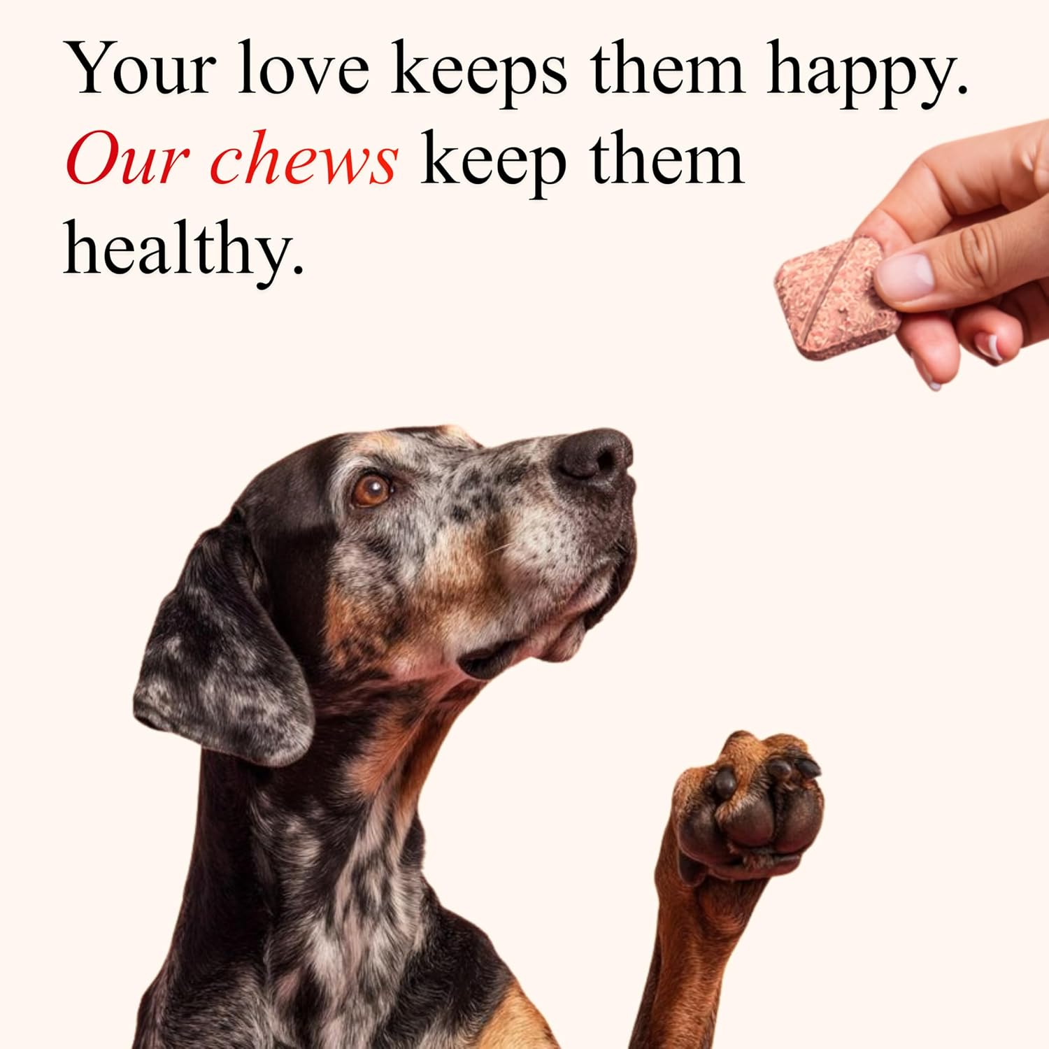 Petroyale Masticables de Arándano para Perros – Apoyo Urinario y Vesical (30 unidades)