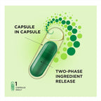 ProCombo - El simbiótico inteligente con liberación dirigida de bacterias buenas. Fórmula de doble cápsula y líquido para resultados rápidos. 1 cápsula al día. Probado en laboratorio (Envase de 1)