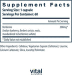 Berberina 200 mg - 60 Cápsulas Veganas - Vital Nutrients