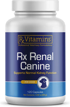 Rx Vitamins Rx Renal - Cápsulas de apoyo renal para perros con cardo mariano, té verde y cordyceps, 120 unidades