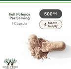 Turkesterone 500 mg, 120 cápsulas - Extracto de Ajuga Turkestanica estandarizado al 10%