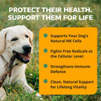 WorksSoWell IP-6 Immune Support for Dogs – 240 V-Cápsulas