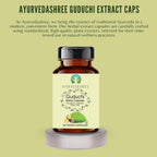 Extracto de Guduchi 500mg - 60 Cápsulas Vegetarianas | Tinospora Cordifolia | 100% Natural | Vegano | Sin Gluten