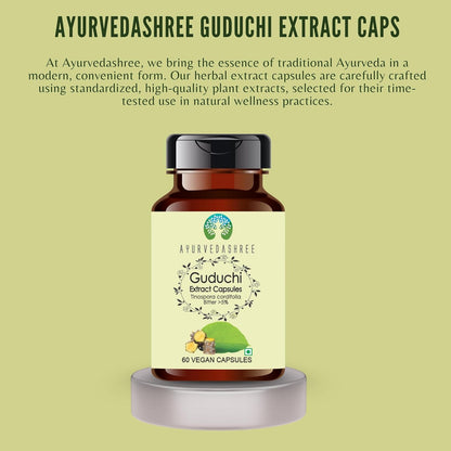 Extracto de Guduchi 500mg - 60 Cápsulas Vegetarianas | Tinospora Cordifolia | 100% Natural | Vegano | Sin Gluten – Image 3