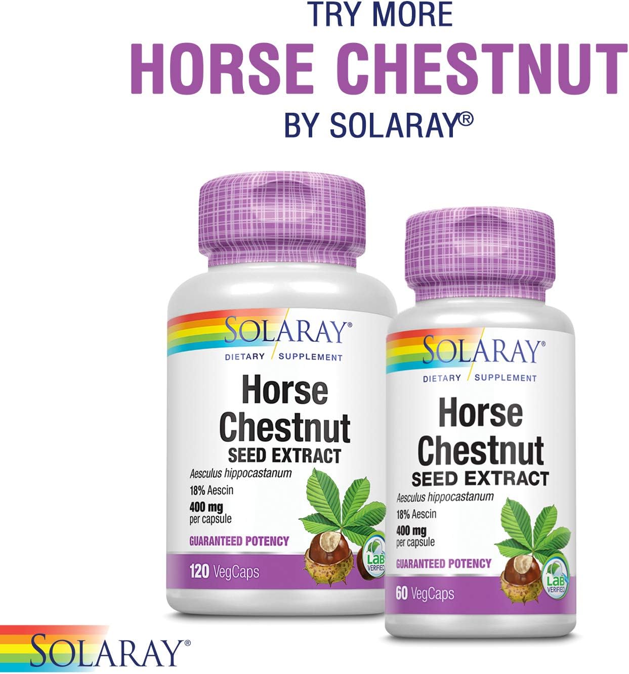 SOLARAY CircuLegs - Suplemento Herbal con Extracto de Castaño de Indias y Vitamina C