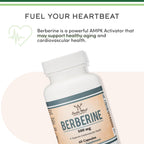 Berberina 500mg, Alta Pureza 97% HCL, 60 Cápsulas