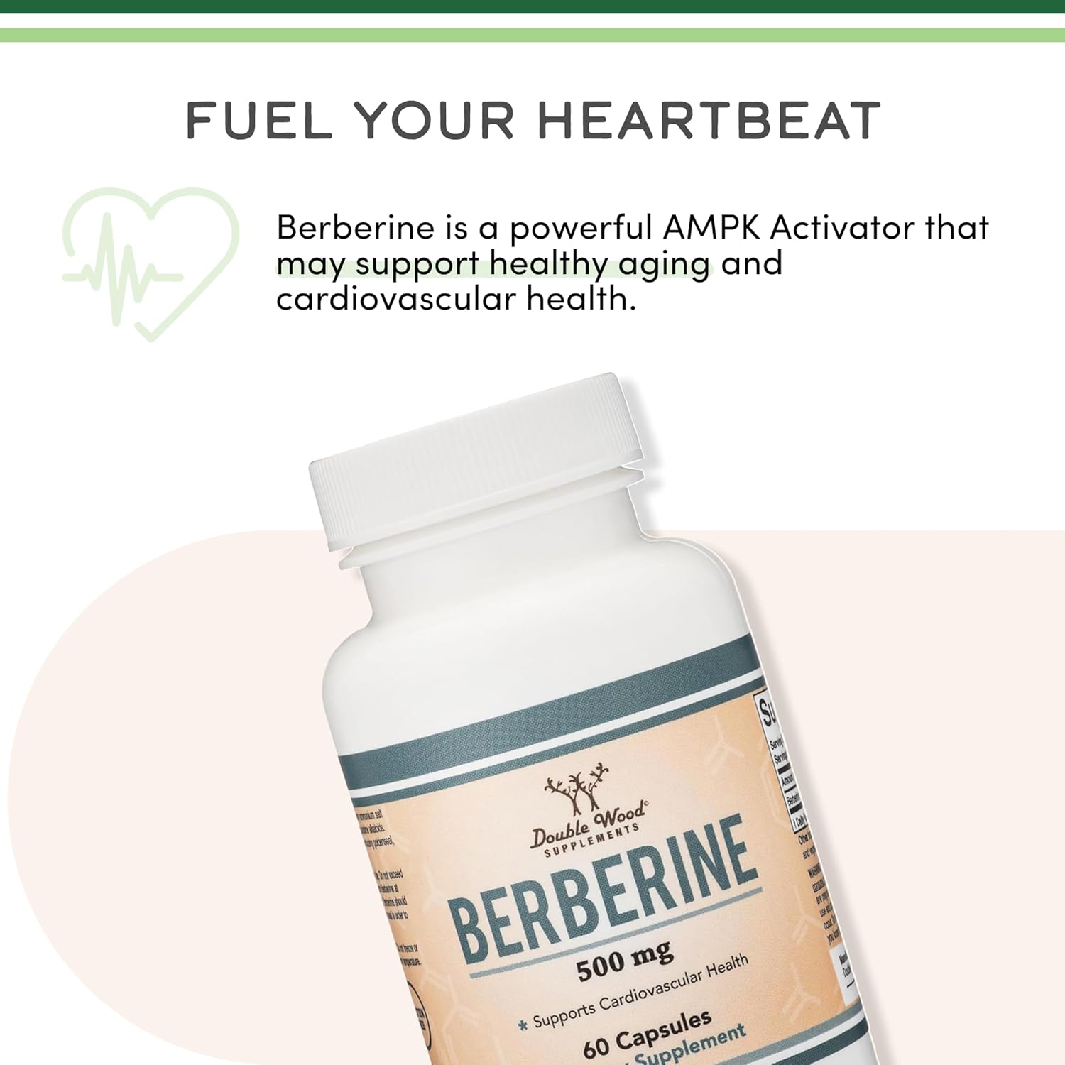 Berberina 500mg, Alta Pureza 97% HCL, 60 Cápsulas