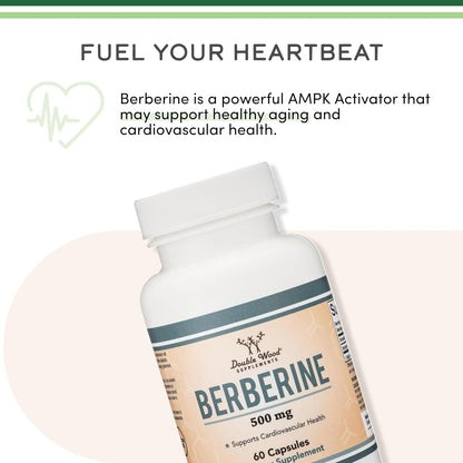 Berberina 500mg, Alta Pureza 97% HCL, 60 Cápsulas – Image 6