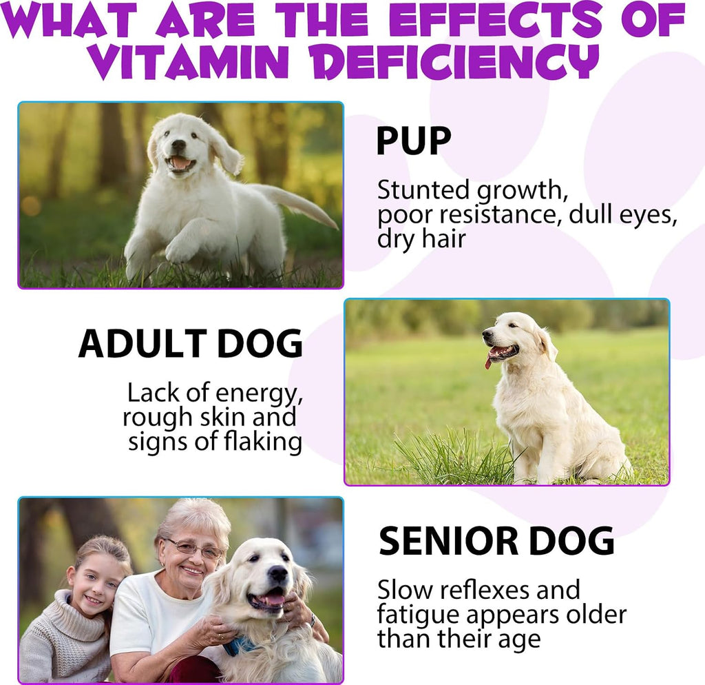 15-en-1 Multivitamínico Líquido para Perros con Glucosamina, MSM y Omega