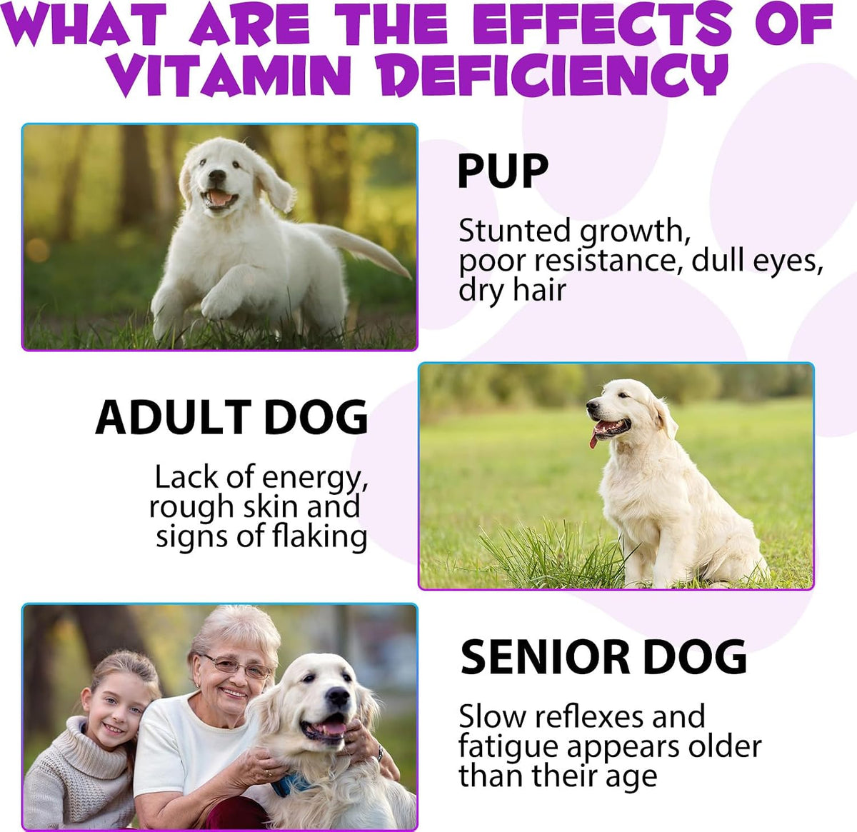 15-en-1 Multivitamínico Líquido para Perros con Glucosamina, MSM y Omega - görsel 4