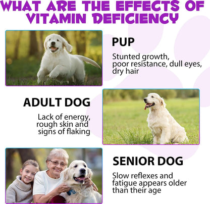 15-en-1 Multivitamínico Líquido para Perros con Glucosamina, MSM y Omega