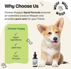 Forever Puppy Adrenal Support Drops para Perros - Gotas de Ashwagandha y Ginseng para Apoyo Adrenal y Energía - Suplemento Líquido Calmante - 60 ml