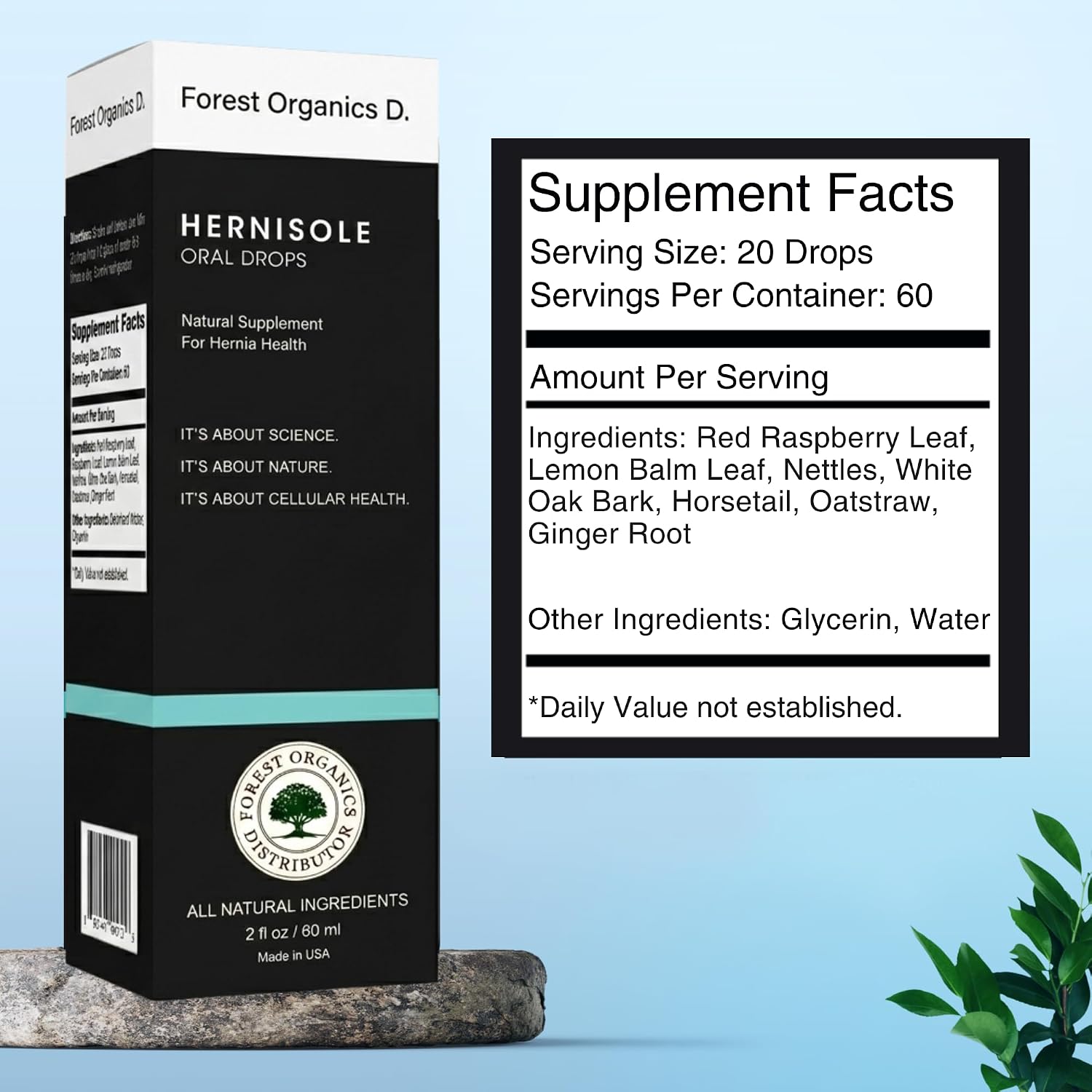 Hernia Health (Hernisole) - Gotas de Extracto de 24 Plantas para el Soporte Digestivo y de Tejidos