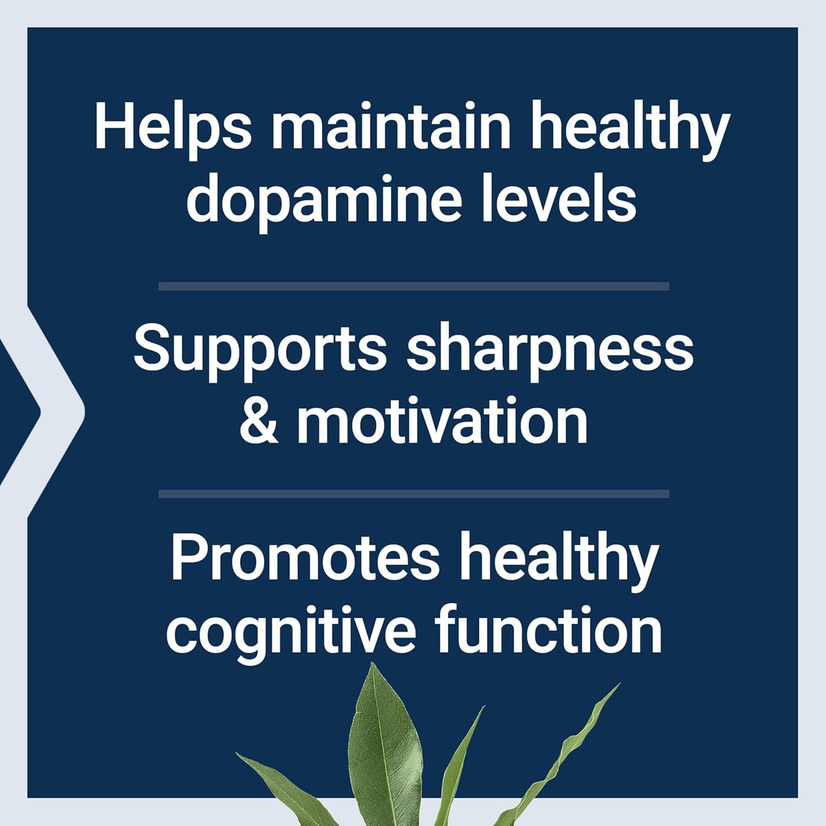Life Extension Dopamine Advantage - Salud Cognitiva y Motivación - 30 Cápsulas – Image 4