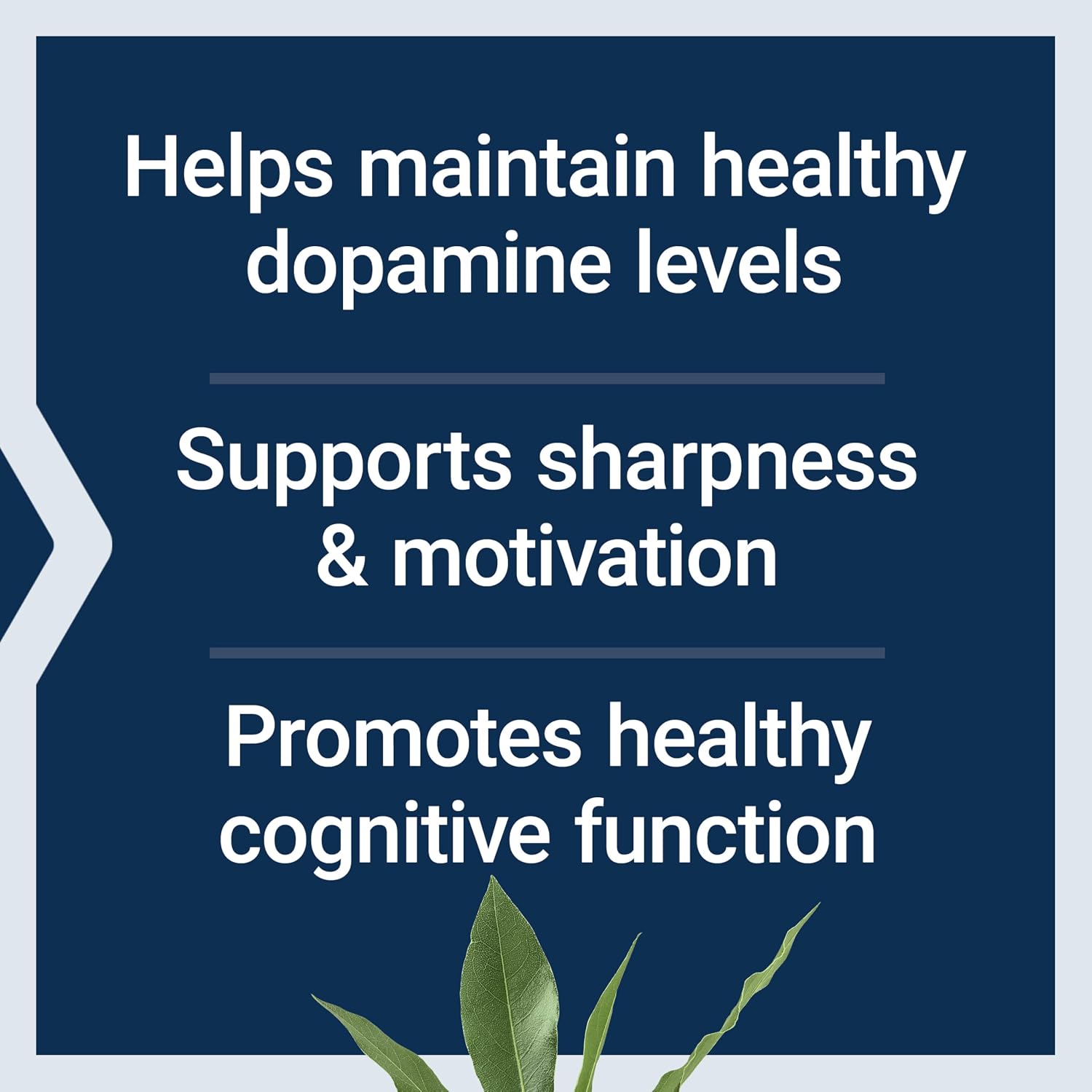 Life Extension Dopamine Advantage - Salud Cognitiva y Motivación - 30 Cápsulas