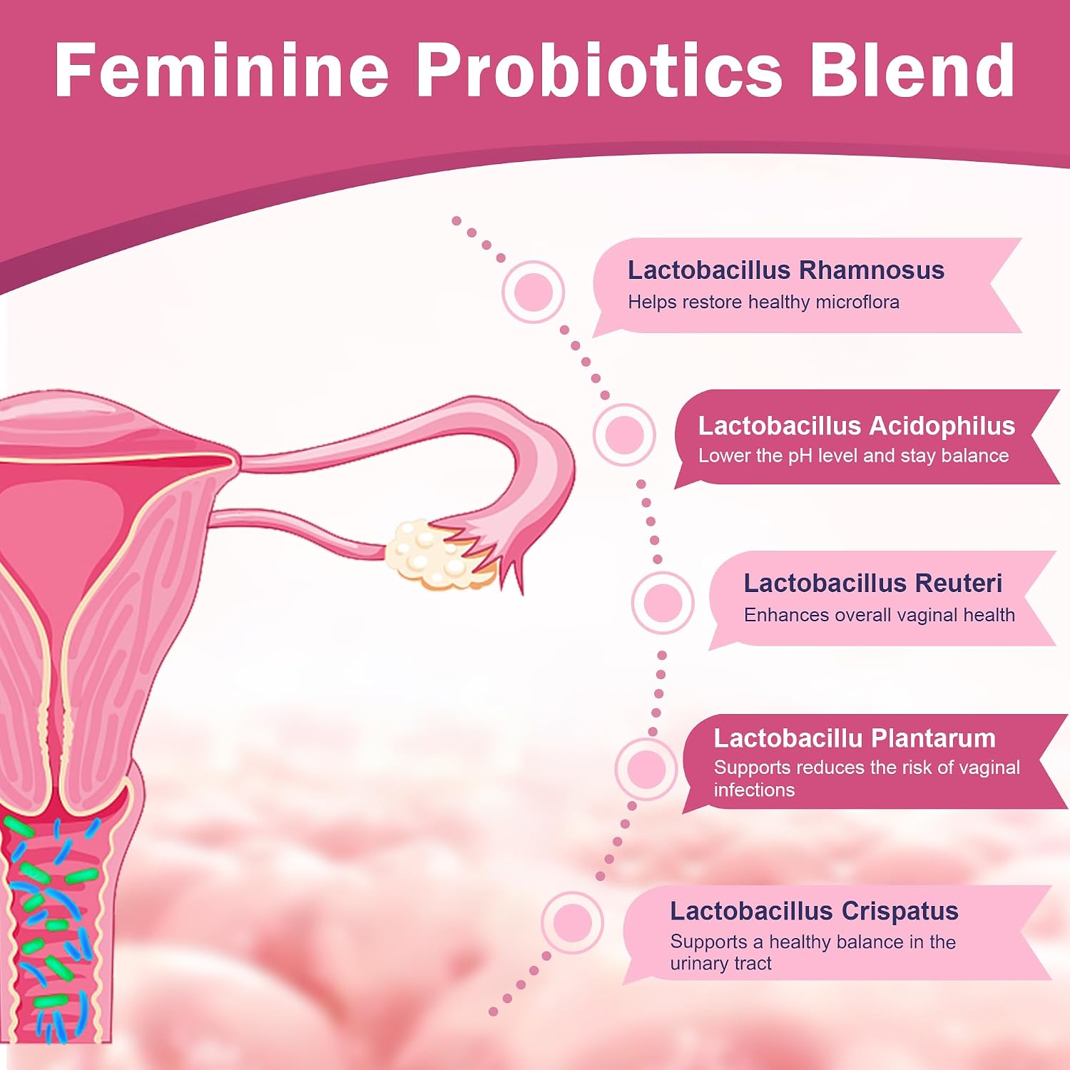 Nature Target Probióticos Vaginales para Mujeres, 100 Mil Millones UFC con Prebióticos, Enzimas Digestivas, Arándano Rojo y D-Mannose - Apoyo al pH y Salud Urinaria - 90 Cápsulas
