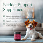 pawTree Bladder Support Plus - Complemento para la salud urinaria de perros y gatos (Grande)