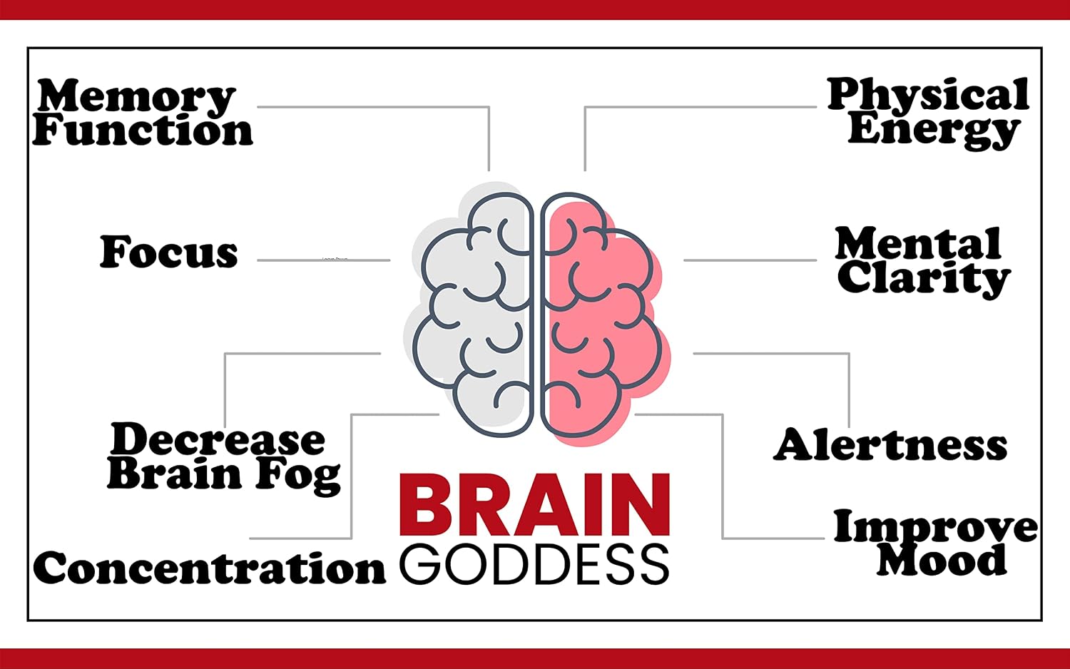 Warped Wellness Brain Goddess - Suplemento de Memoria y Concentración para Mujeres