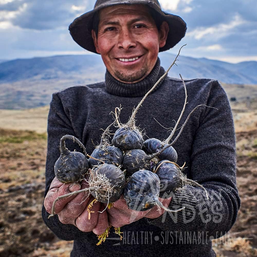 Cápsulas de Maca Negra, Roja y Amarilla Premium – 3000mg por Ración