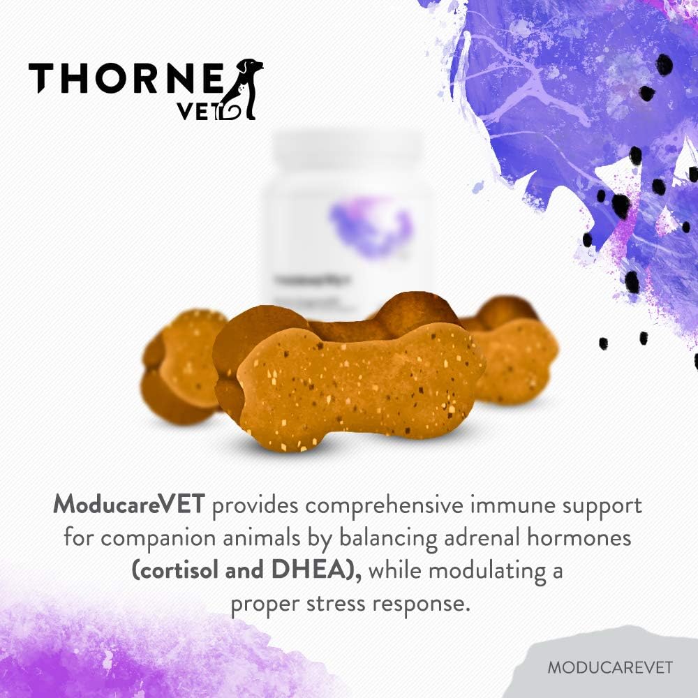 ThorneVet ModucareVET – Snacks Blandos con Esteroles Vegetales para el Apoyo Inmunológico de Perros, Gatos y Caballos, 90 uds.