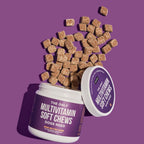 Dog Multivitamin Soft Chews - 120ct - Natural Rapport