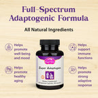 Dragon Herbs Super Adaptogen - Suplemento Adaptógeno con 16 Hierbas Tónicas, 100 Cápsulas