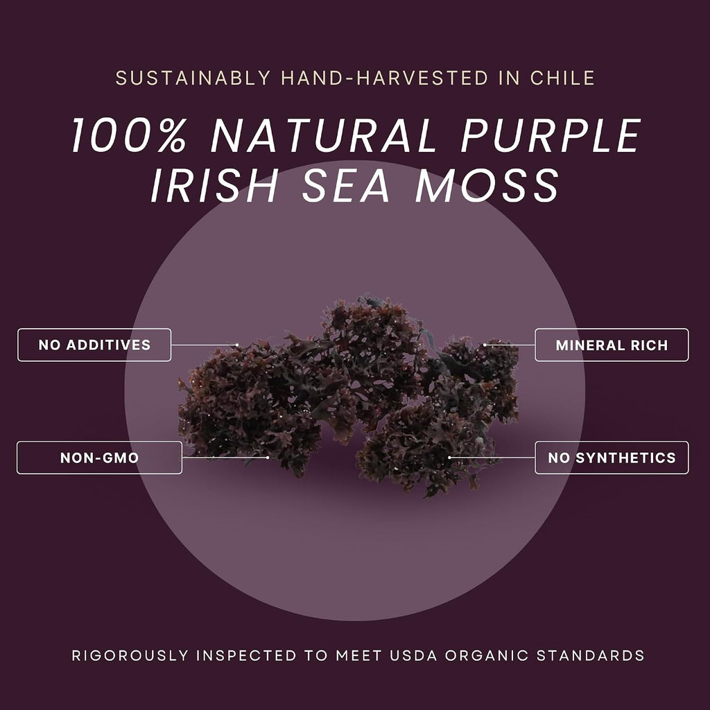 Red's Pure Botanicals Irish Sea Moss Orgánico – Chondrus Crispus Púrpura