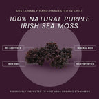 Red's Pure Botanicals Irish Sea Moss Orgánico – Chondrus Crispus Púrpura