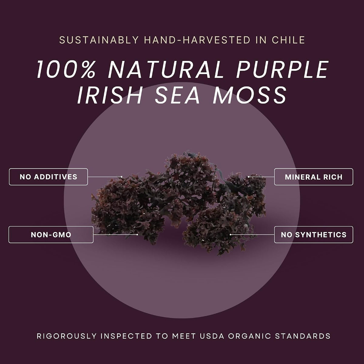 Red's Pure Botanicals Irish Sea Moss – Hierro: El hierro contribuye a la formación normal de glóbulos rojos y de – Image 2