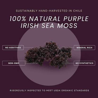 Red's Pure Botanicals Irish Sea Moss – Hierro: El hierro contribuye a la formación normal de glóbulos rojos y de – Image 2