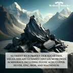 Medical Miracles Shilajit Gominolas de Energía Sin Azúcar 1000mg, Complejo Mineral Himalaya con Ácido Fúlvico, Suplemento Vegano Sabor Frambuesa y Sandía, 60 Unidades