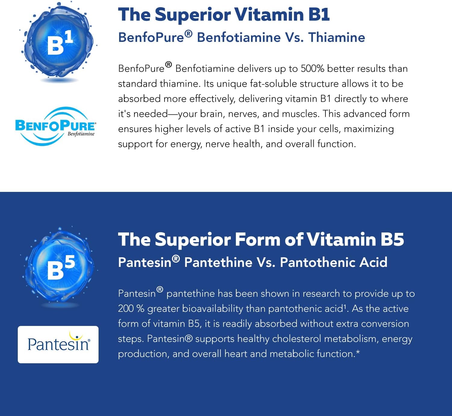 BioActive Vitamin B Complex - Complejo B Metilado con Metilfolato y 3 Formas de B12 - Triquetra Health